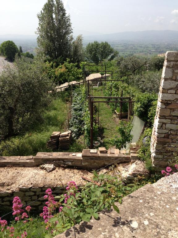 Residenza D'Epoca San Crispino Lejlighedshotel Assisi Eksteriør billede